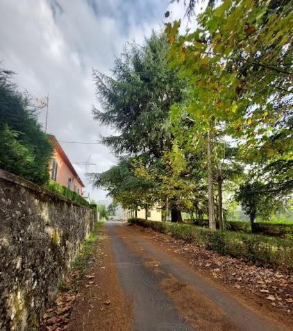 Apartamento Fogar Canon Do Sil - En La Ribeira Sacra
